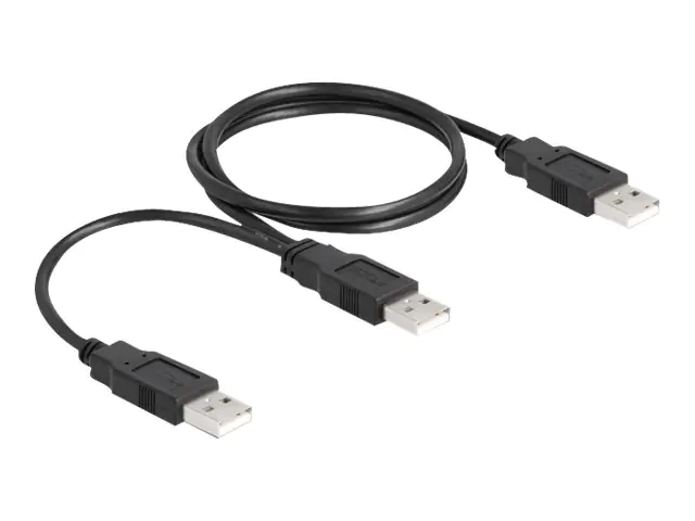 Delock - USB-Kabel - USB (M) zu USB (M) - USB 2.0 - 70 cm - Schwarz