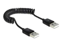 Delock - USB-Kabel - USB (M) zu USB (M) - USB 2.0 - 60 cm - gewickelt - Schwarz