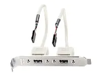 Lindy USB-Konsole - 4-Pin-USB 2.0-Header (W)