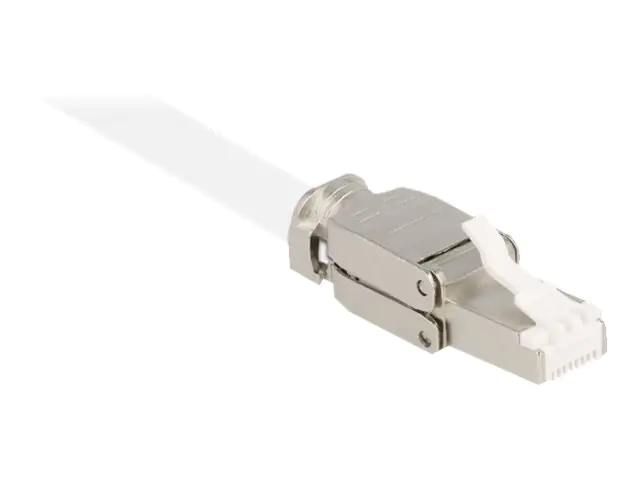 Delock - Netzwerkanschluss - RJ-45 (M) - STP - CAT 6a