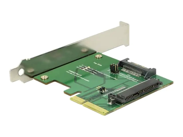 Delock - Schnittstellenadapter - Ultra M.2 Card - Low-Profile - PCIe 3.0 x4