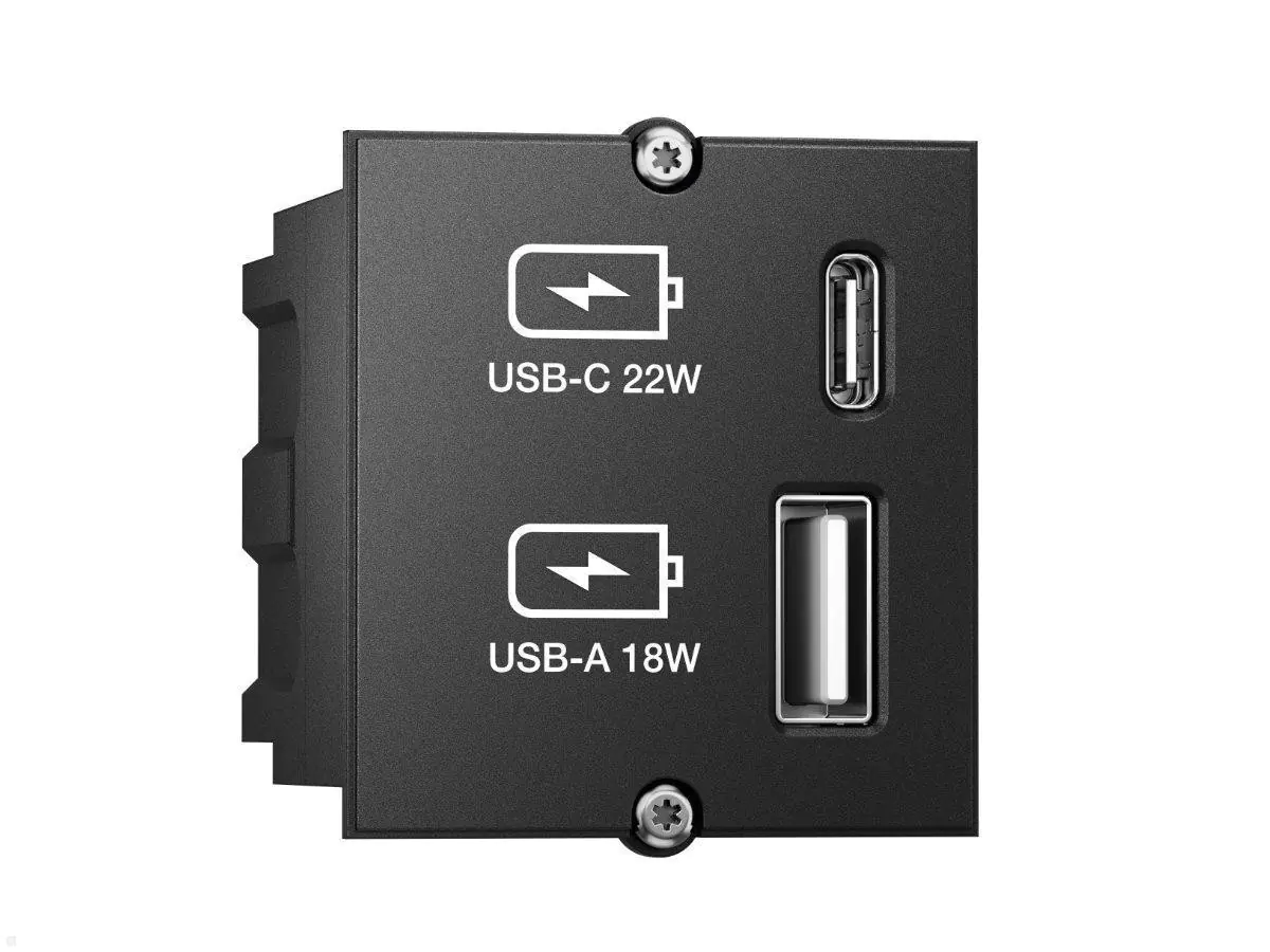 Bachmann Custom module - Modulares Faceplate-Snap-In - USB Type A, USB Typ C - Schwarz Bachmann Custom module - Modulares Faceplate-Snap-In - USB Type A, USB Typ C - Schwarz