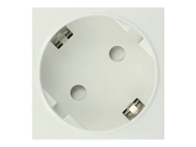 Delock - Easy 45 - Steckdose - 2P+E - Typ F - mit Verschluss - 1 Steckdose - 16 A - Wechselstrom 250 V - weiß, RAL 9003 (Packung mit 10)
