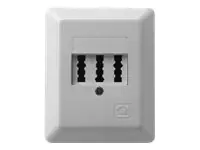 ZE KOMMUNIKATIONSTECHNIK 3x6 Standard - Wanddose - TAE-NFN - Pearl White, RAL 1013 - Abdeckung mit einer Aussparung