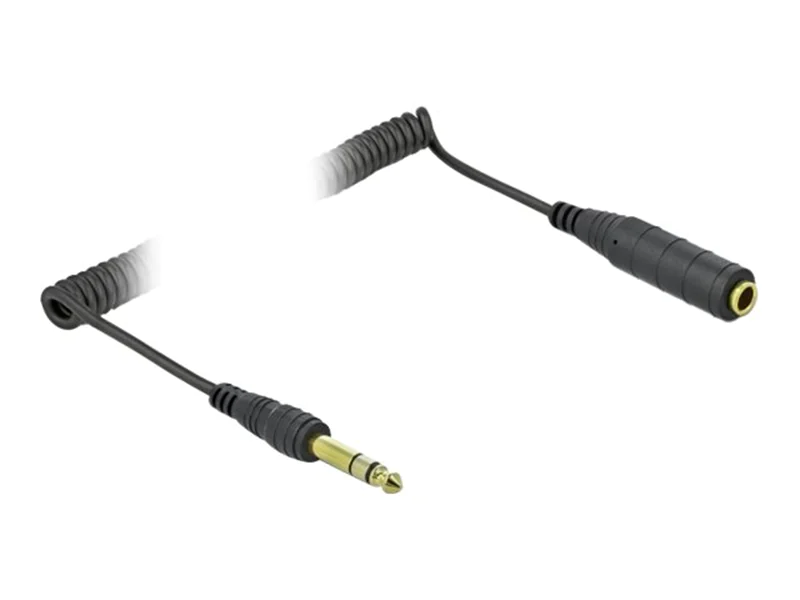 Delock - Audioverlängerungskabel - Stereo-Stecker männlich zu Stereo-Stecker weiblich - 2 m - Schwarz