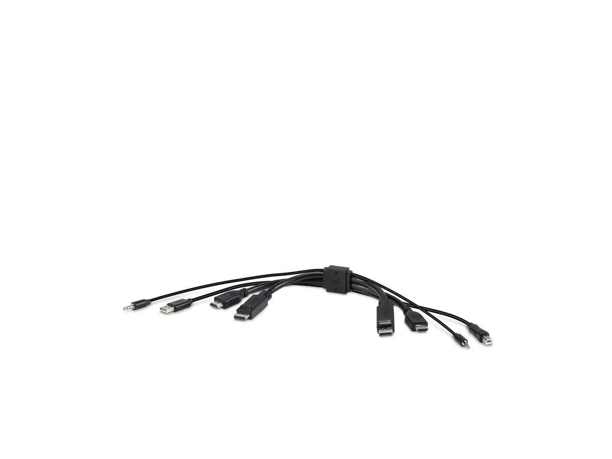 Belkin Secure KVM Combo Cable - Video- / USB- / Audio-Kabel - TAA-konform - USB, Mini-Stecker,