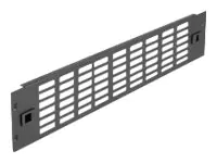 Delock Rackpaneel - mit Lüftungsschlitzen - Schwarz - 2U - 48.2 cm (19") 66987