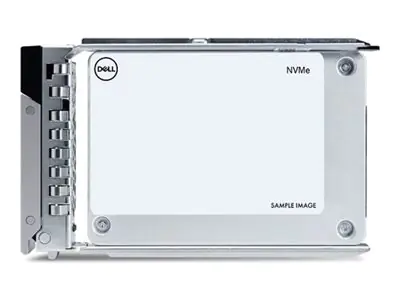 Dell Kunden-Kit - SSD - Rechenzentrum, Leseintensiv - 960 GB - mit Träger - 2.5" (6.4 cm) 400-BMTR