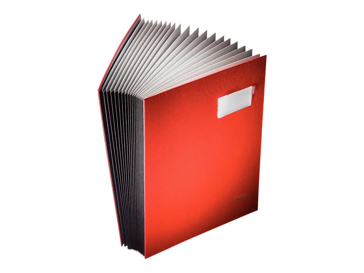 Esselte Leitz Gliederungsordner - 20 Fächer - für A4 (210 x 297 mm) 5700-00-25