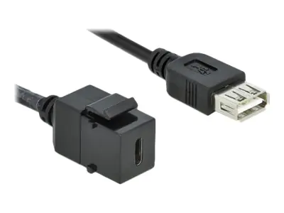 Delock Keystone module - Modulare Eingabe - USB Typ C - Schwarz