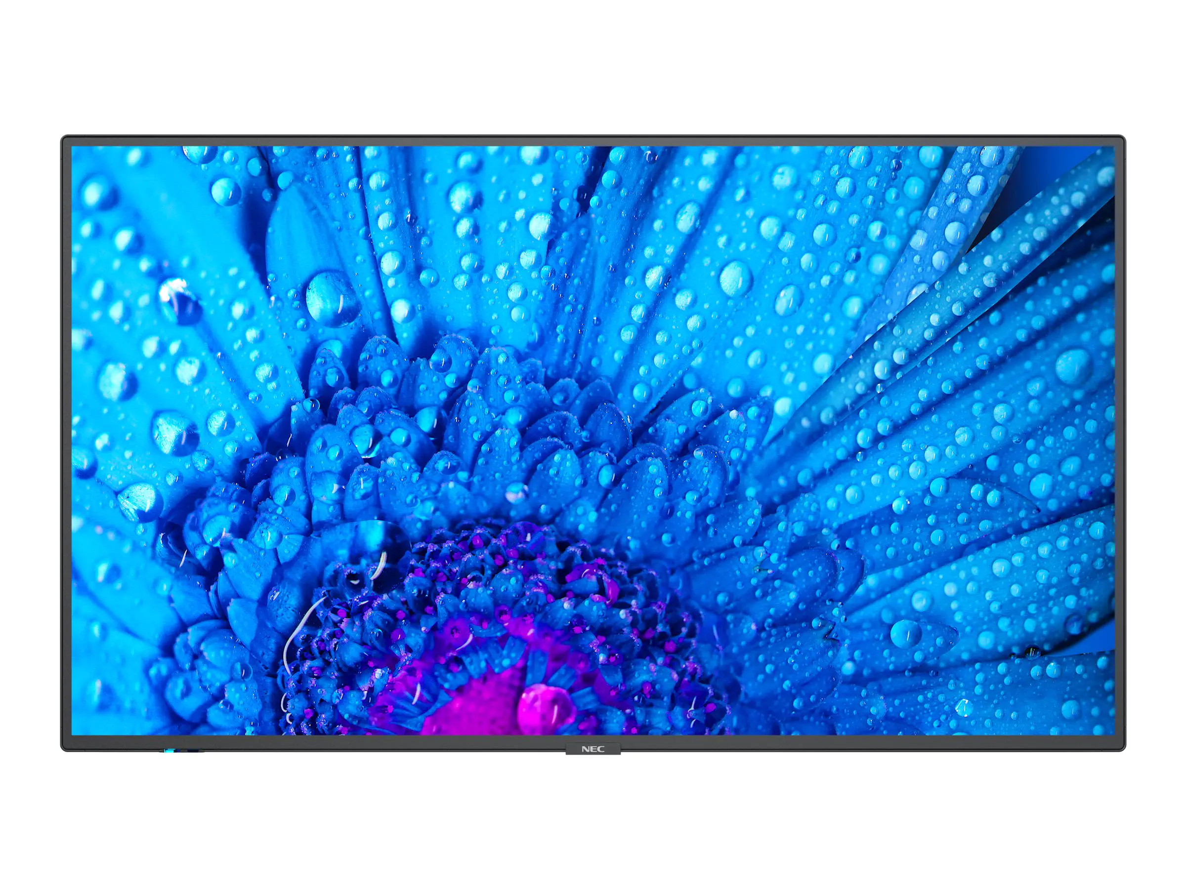 NEC MultiSync M651 - 163.9 cm (65") Diagonalklasse M Series LCD-Display mit LED-Hintergrundbeleuchtung - Digital Signage - 4K UHD (2160p) 3840 x 2160 - direkt beleuchtete LED - Schwarz