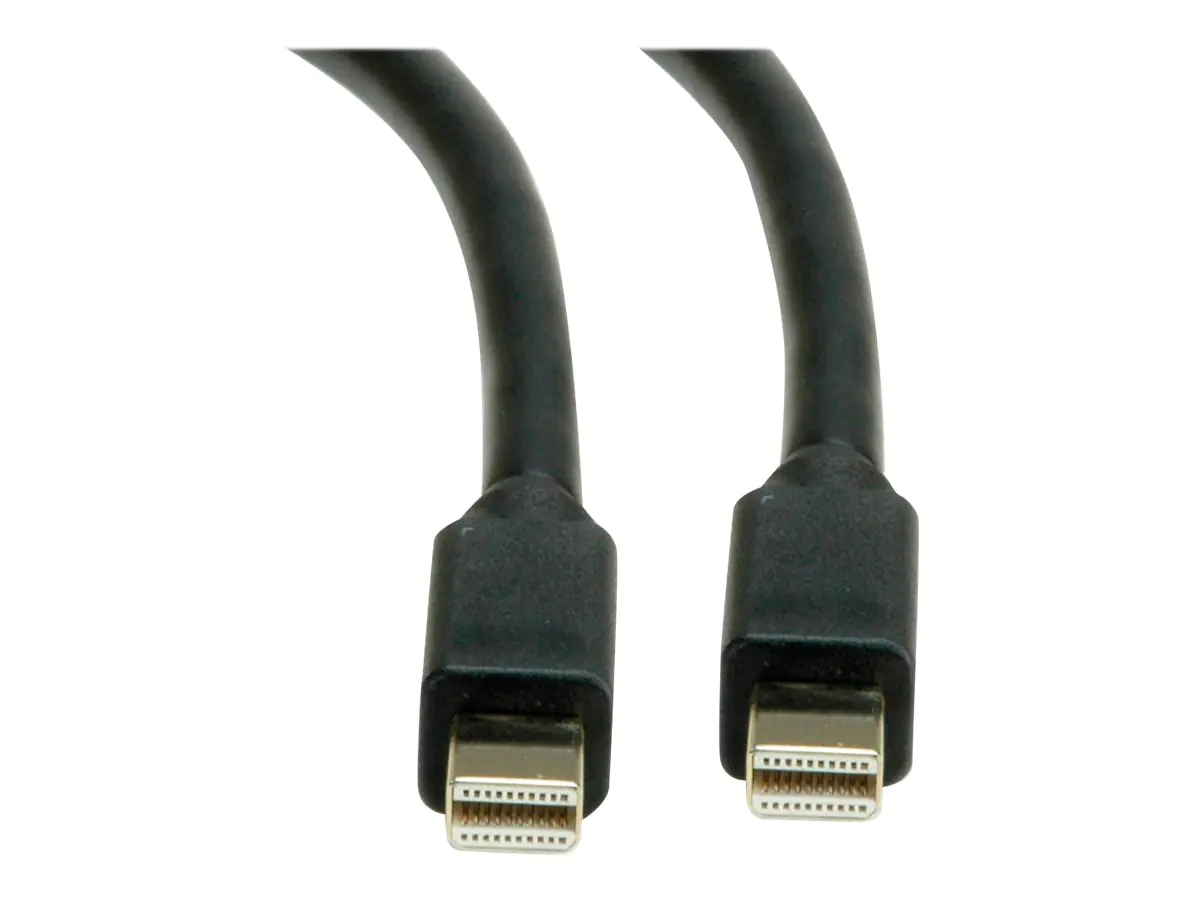 Roline - DisplayPort-Kabel - Mini DisplayPort (M) bis Mini DisplayPort (M) - DisplayPort 1.4 - 2 m - Schwarz
