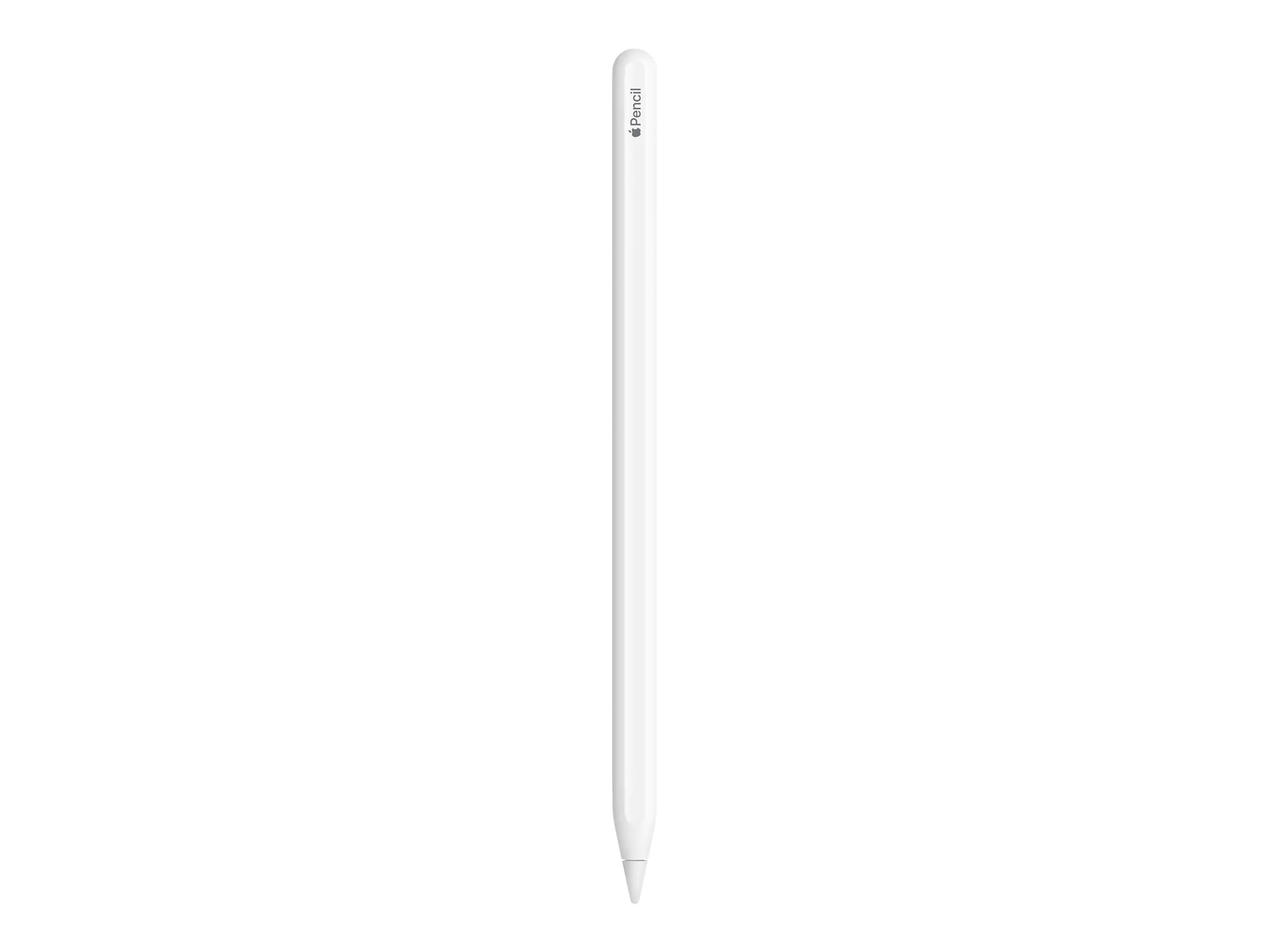 Apple Pencil 2nd Generation - Stylus für Tablet - für 10.9-inch iPad Air (4th gen, 5th gen); 11-inch iPad Pro (1st gen, 2nd gen, 3rd gen, 4th gen); 12.9-inch iPad Pro (3rd gen, 4th gen, 5th gen, 6th gen) Apple Pencil 2nd Generation - Stylus für Tablet - für 10.9-inch iPad Air (4th gen, 5th gen); 11-inch iPad Pro (1st gen, 2nd gen, 3rd gen, 4th gen); 12.9-inch iPad Pro (3rd gen, 4th gen, 5th gen, 6th gen)