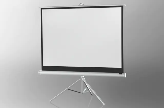celexon Economy tripod screen - Projektionsbildschirm mit Stativ - 345 cm (136") 1090274