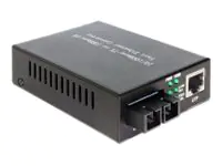 Delock Medienkonverter - 100Mb LAN - 10Base-T