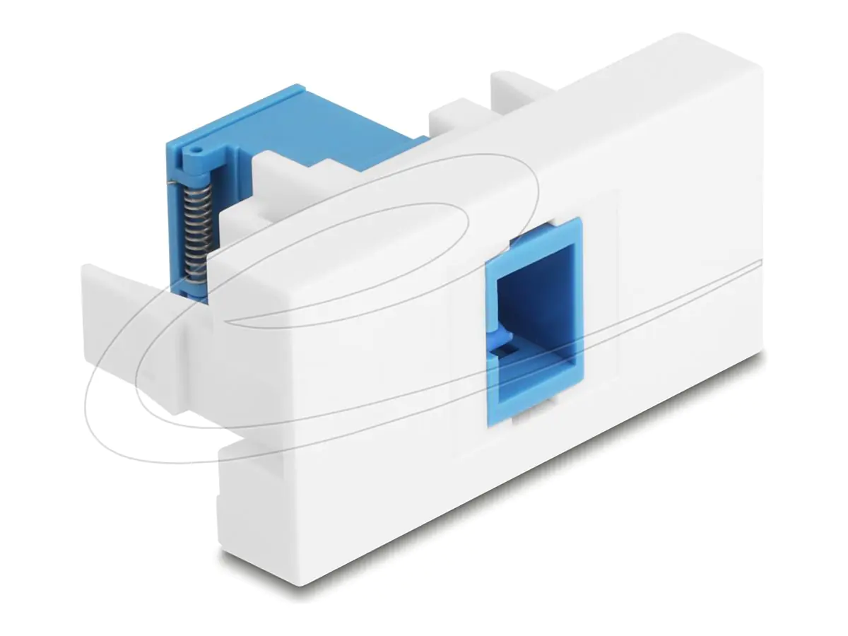 Delock Easy 45 - Einrastmodul - mit lasergeschütztem