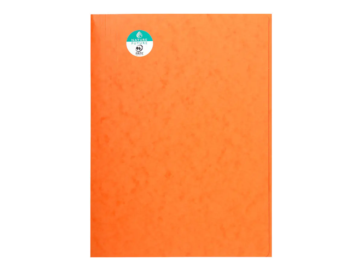 Exacompta Sammelmappe 56409E DIN A4 3Klappen Karton orange