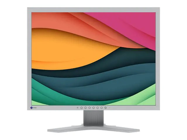 EIZO FlexScan S2134 - LED-Monitor - 54 cm (21.3") S2134-GY