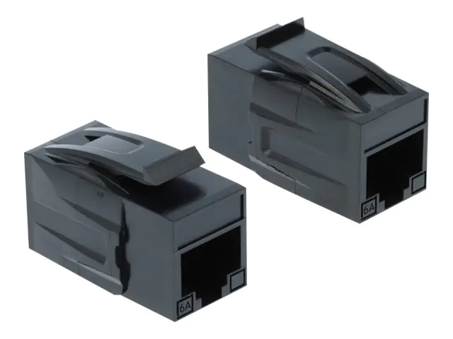 Delock Keystone Module RJ45 jack > RJ45 jack Cat.6A - Modularer Einschub (Kopplung)