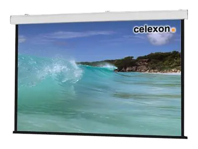 celexon Expert ceiling recessed - Leinwand - Deckenmontage, geeignet für Wandmontage -