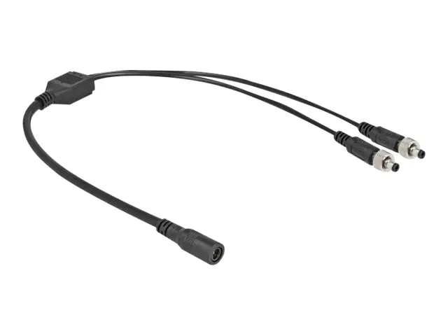 Delock Netz-Splitter - Gleichstromstecker 5,5 x 2,1 mm (W) 86571