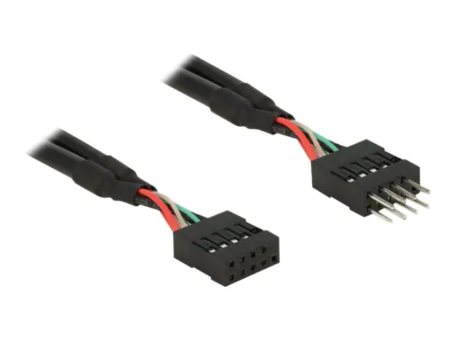 Delock USB 2.0 Pin Header - Internes USB-Kabel - 10-poliger USB-Header (W) bis 10-poliger USB-Header (M) - 25 cm - Schwarz
