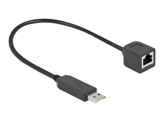 Delock Serieller Adapter - USB (M) zu RJ-45 (W)