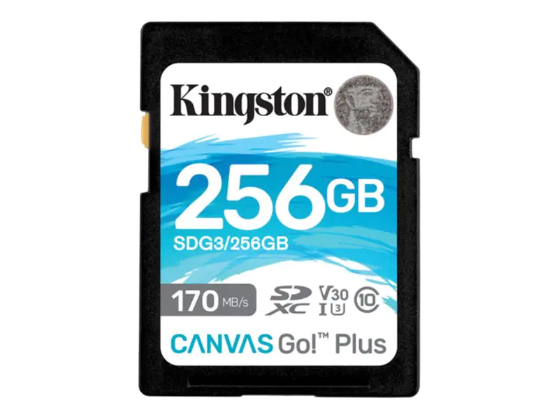 Kingston Canvas Go! Plus - Flash-Speicherkarte - 256 GB - Video Class V30 / UHS-I U3 / Class10 - SDXC UHS-I