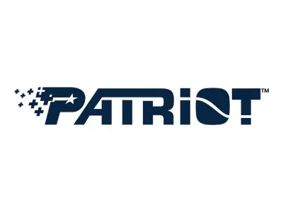 Patriot P210 - SSD - 512 GB - intern - 2.5" (6.4 cm) - SATA 6Gb/s