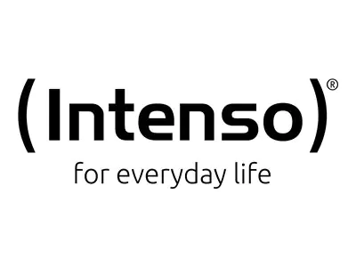 Intenso White Buds T302A