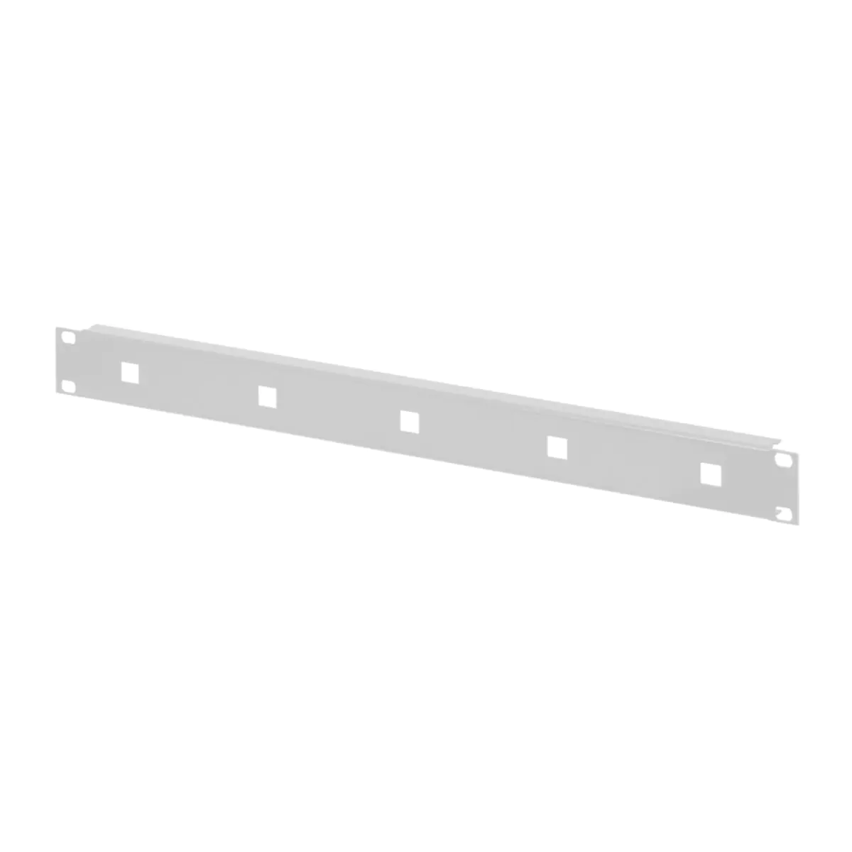 SCHROFF 19"FRONT PANEL 1U 1.5MM C.EYES RAL7035