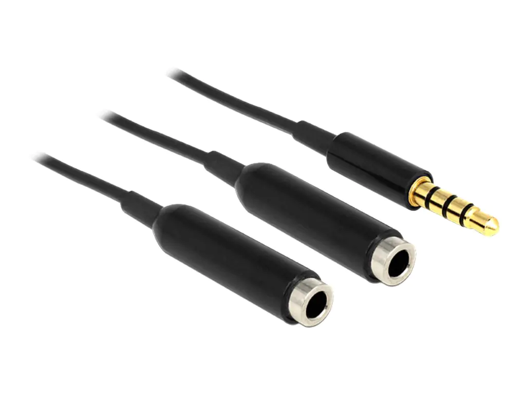 Delock - Audio-Splitter - 4-poliger Mini-Stecker weiblich zu 4-poliger Mini-Stecker männlich - 25 cm - Schwarz
