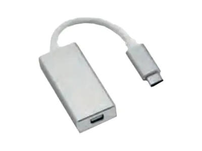 Roline - Externer Videoadapter - USB-C 3.1 - Mini DisplayPort - Silber