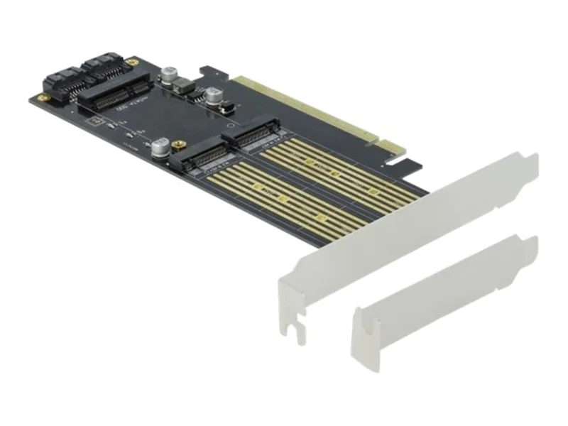 Delock - Speicher-Controller - mSATA, M.2 - M.2 Card / mSATA - Low-Profile - SATA 6Gb/s, PCIe 4.0 x16 Delock - Speicher-Controller - mSATA, M.2 - M.2 Card / mSATA - Low-Profile - SATA 6Gb/s, PCIe 4.0 x16