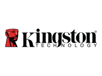 Kingston DataTraveler SE9 G3 - USB-Flash-Laufwerk - 64 GB - USB 3.2 Gen 1 - Gold