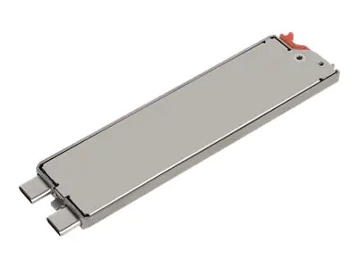 GETAC SSD - 256 GB - mit Kanister - intern - PCIe (NVMe) GSSEX3