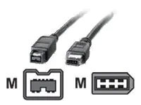 Roline - IEEE 1394-Kabel - FireWire 800 (M) zu FireWire, 6-polig (M) - 1.8 m - Schwarz