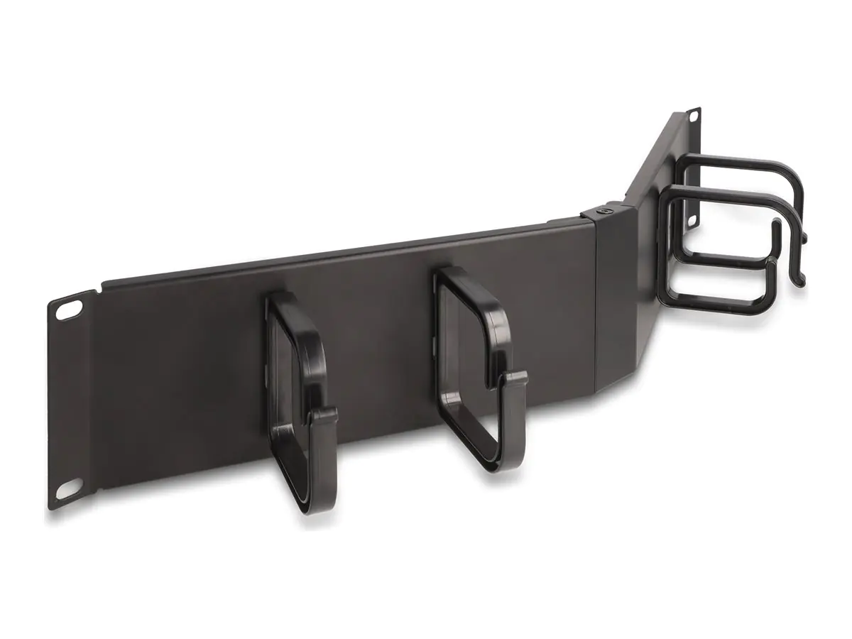 Delock Verlegetafel für Rack-Kabelmanagement - mit 4 Haken, abgewinkelt - Tiefschwarz (RAL 9005) 66978