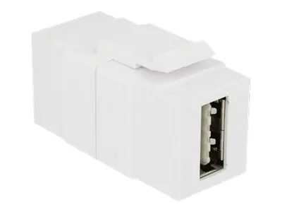 Delock Keystone module - USB-Adapter - USB (W) bis USB (W) - USB 2.0 - umkehrbarer A-Stecker - weiß