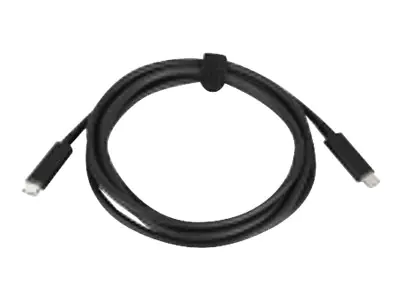 Lenovo - USB-Kabel - 24 pin USB-C (M) zu 24 pin USB-C (M) - 20 V - 3 A - 2 m Lenovo - USB-Kabel - 24 pin USB-C (M) zu 24 pin USB-C (M) - 20 V - 3 A - 2 m