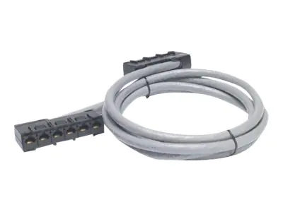 APC Netzwerkkabel - TAA-konform - RJ-45 (W)