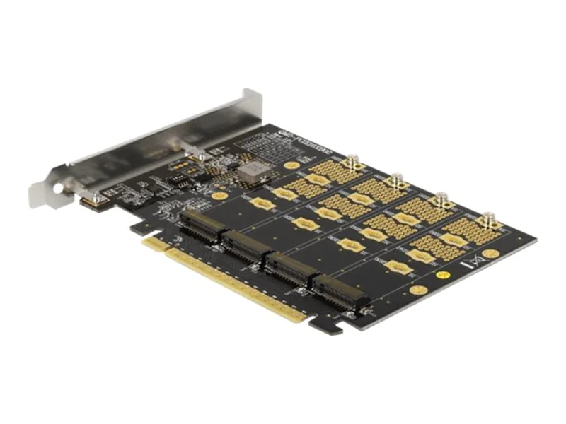 DeLOCK - Speicher-Controller - M.2 - M.2 NVMe Card - PCIe 4.0 x16