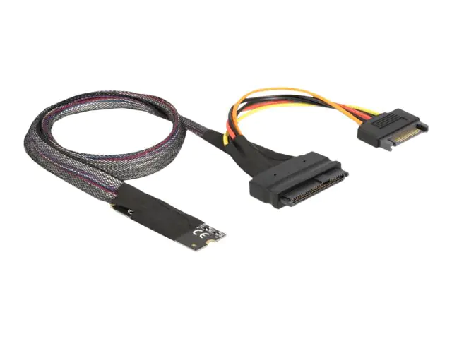 Delock - Schnittstellenadapter - 2.5", M.2 (6.4 cm) - NVMe PCIe - U.2
