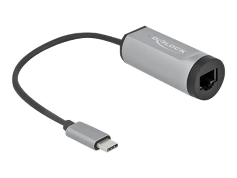 Delock - Netzwerkadapter - USB-C 3.2 Gen 1 / Thunderbolt 3 - Gigabit Ethernet x 1 - Grau