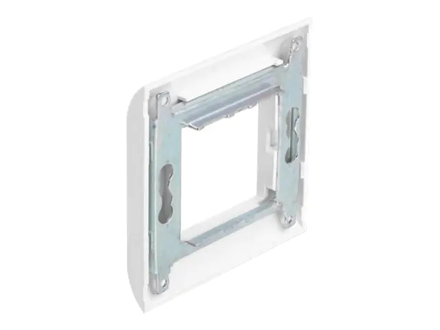 Delock - Easy 45 - Rahmen - weiß, RAL 9003