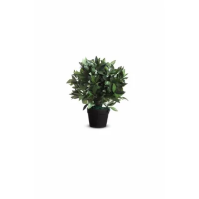 Paperflow Zimmerpflanze Loorbeerbaum 40 x 50 cm (B x H) Polyester/Holz grün Paperflow Zimmerpflanze Loorbeerbaum 40 x 50 cm (B x H) Polyester/Holz grün