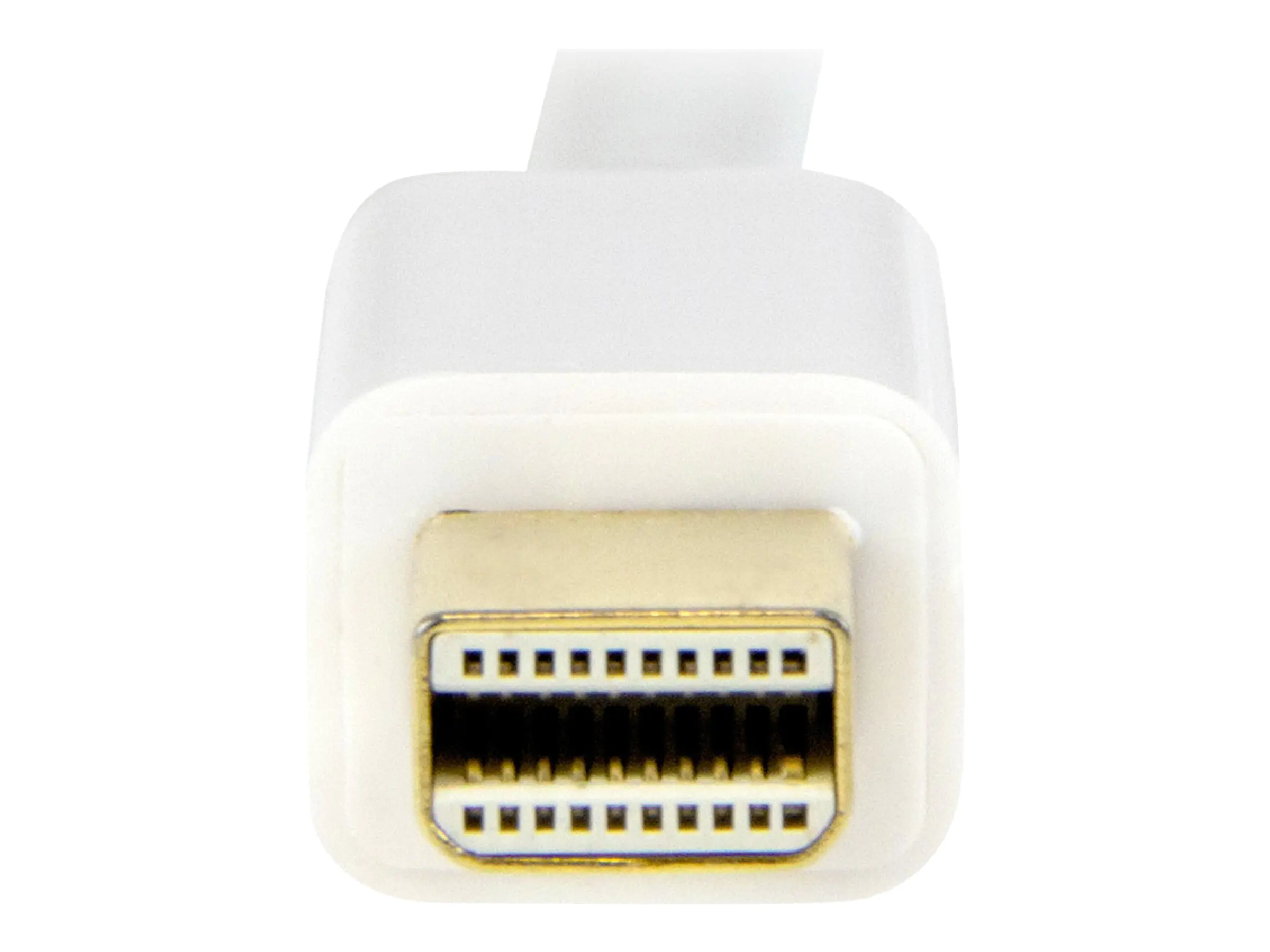 StarTech 2m Mini DisplayPort auf HDMI Konverterkabel - mDP zu HDMI Adapter mit Kabel Ultra HD 4K - Weiß - Adapterkabel - Mini DisplayPort männlich zu HDMI männlich - 2 m - weiß - 4K Unterstützung
