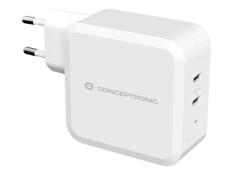 Conceptronic ALTHEA - Netzteil - 100 Watt - PD 3.0 - 2 Ausgabeanschlussstellen (2 x USB-C) - weiß