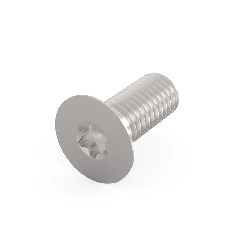 SCHROFF SENKSCHR. M5X12 TORX 100STK 24560183