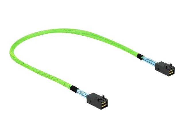 Delock - Internes SAS-Kabel - SAS 64Gbit/s - gerade durchgeführt - Mini SAS HD (SFF-8673) (M) zu Mini SAS HD (SFF-8673) (M) - 50 cm